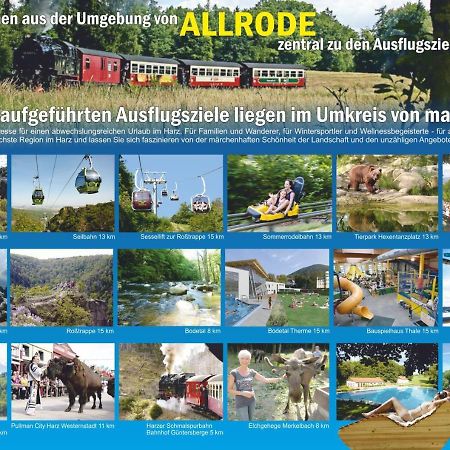 Ferienanlage Harzfreunde Allrode Buitenkant foto