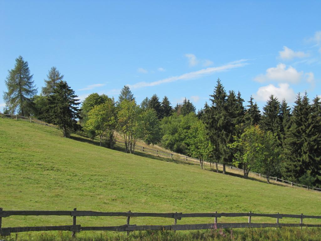 Ferienanlage Harzfreunde Allrode Buitenkant foto